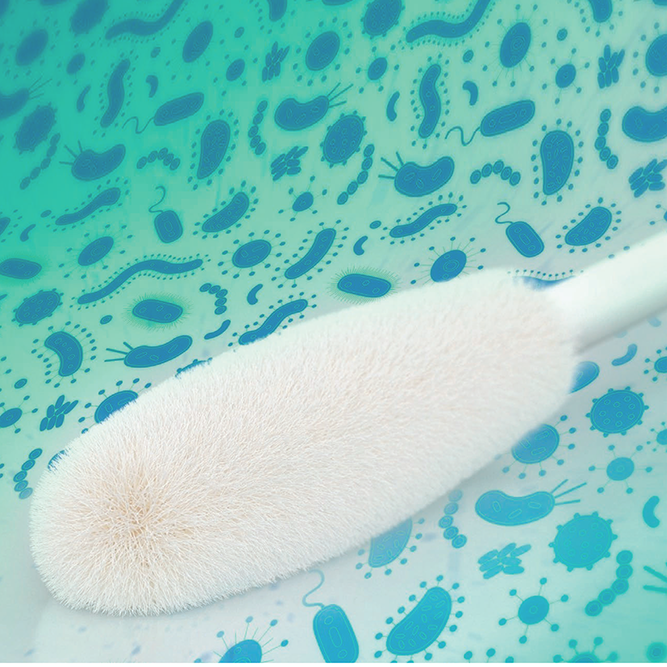 Copan SRK (Surface Recovery Kit)