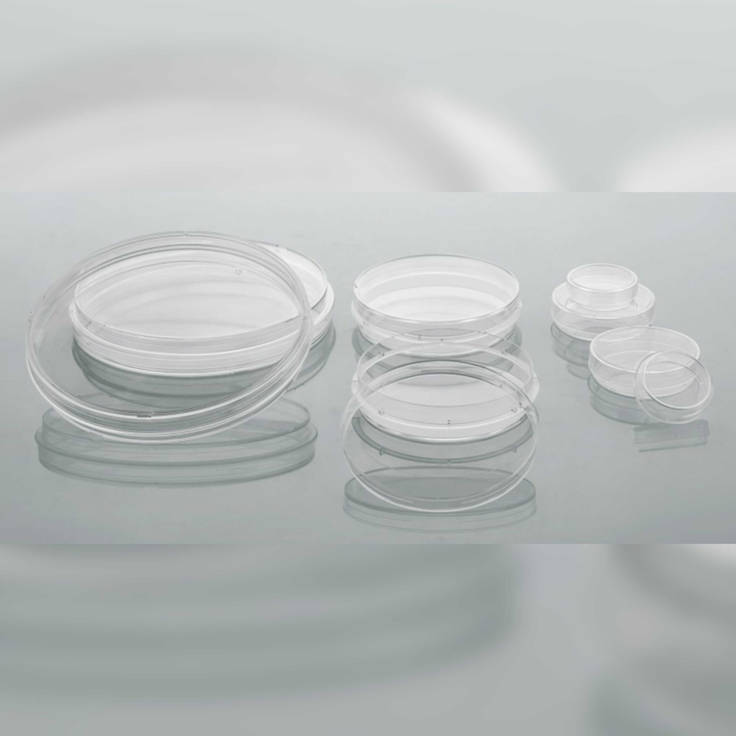 Pakgent  Cell Culture Dish